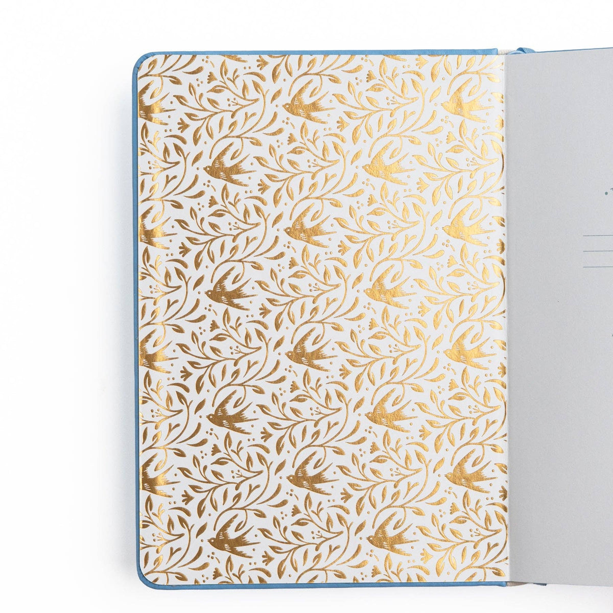 Favorite Story Archer and Olive Dot Grid / TN: 144 Pages Songbird In Blue Dot Grid Notebook