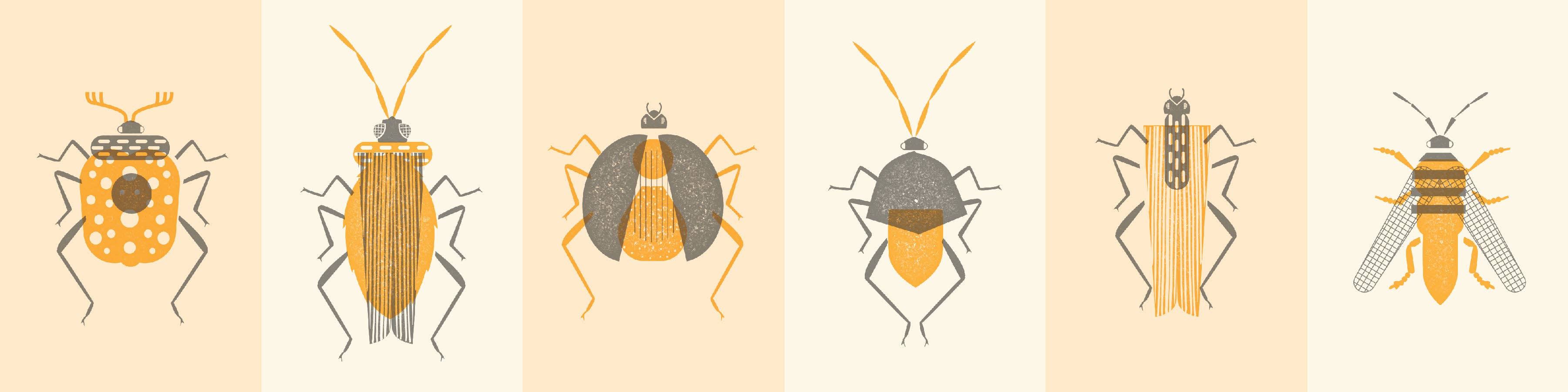 Favorite Story Chronicle Books Stamp Bugs