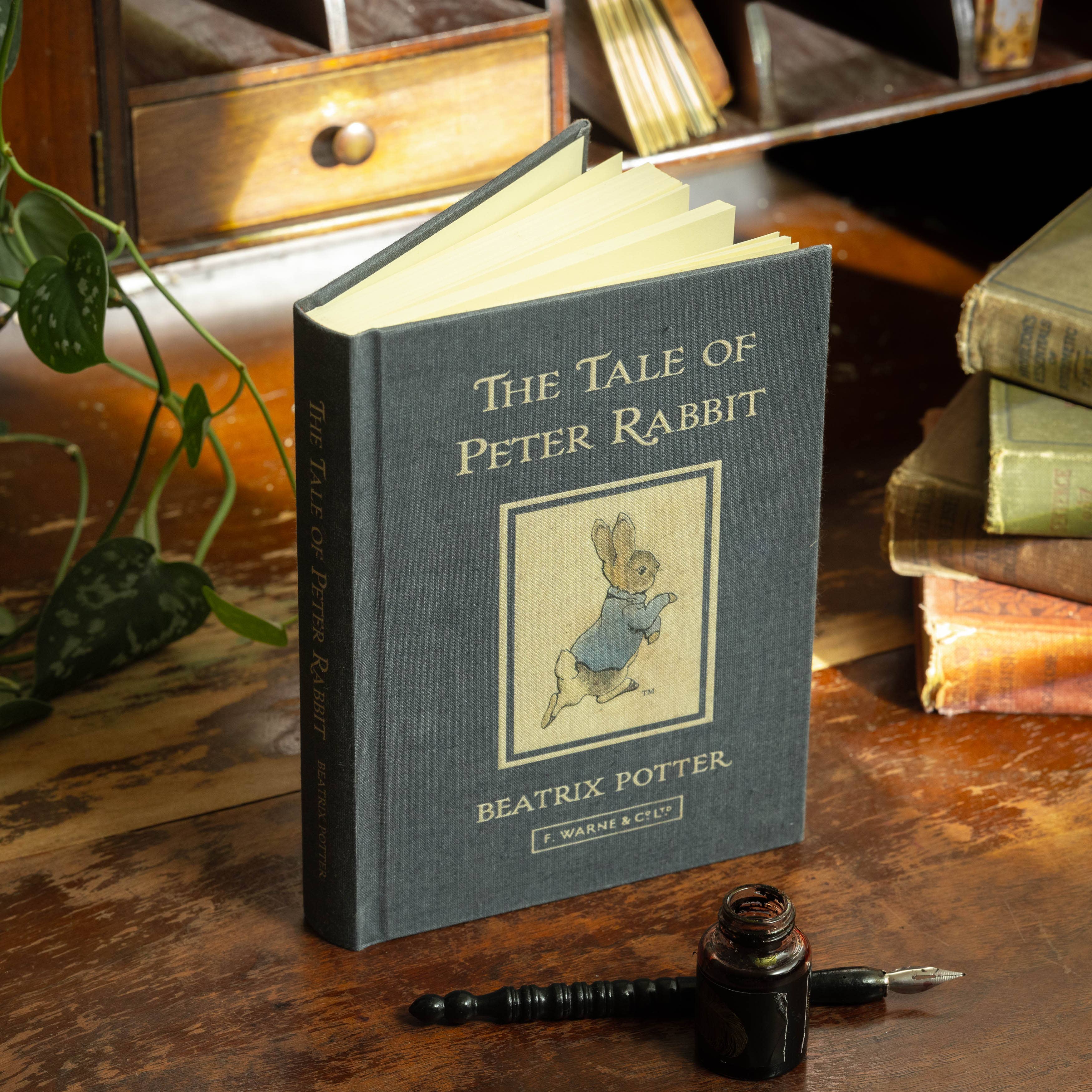 Favorite Story Novel Book Store *The Tale of Peter Rabbit by Beatrix Potter 1902 Book Journal