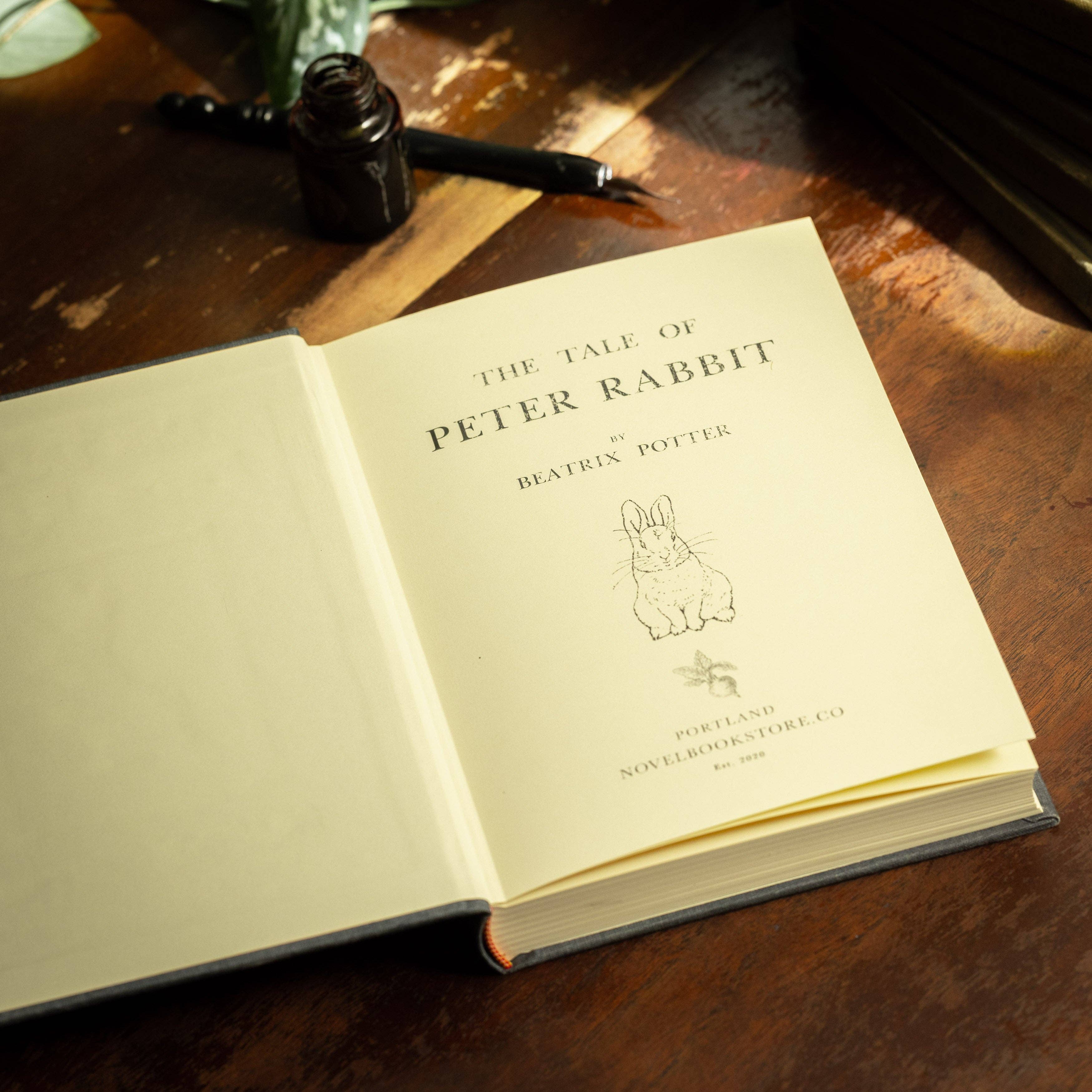 Favorite Story Novel Book Store *The Tale of Peter Rabbit by Beatrix Potter 1902 Book Journal
