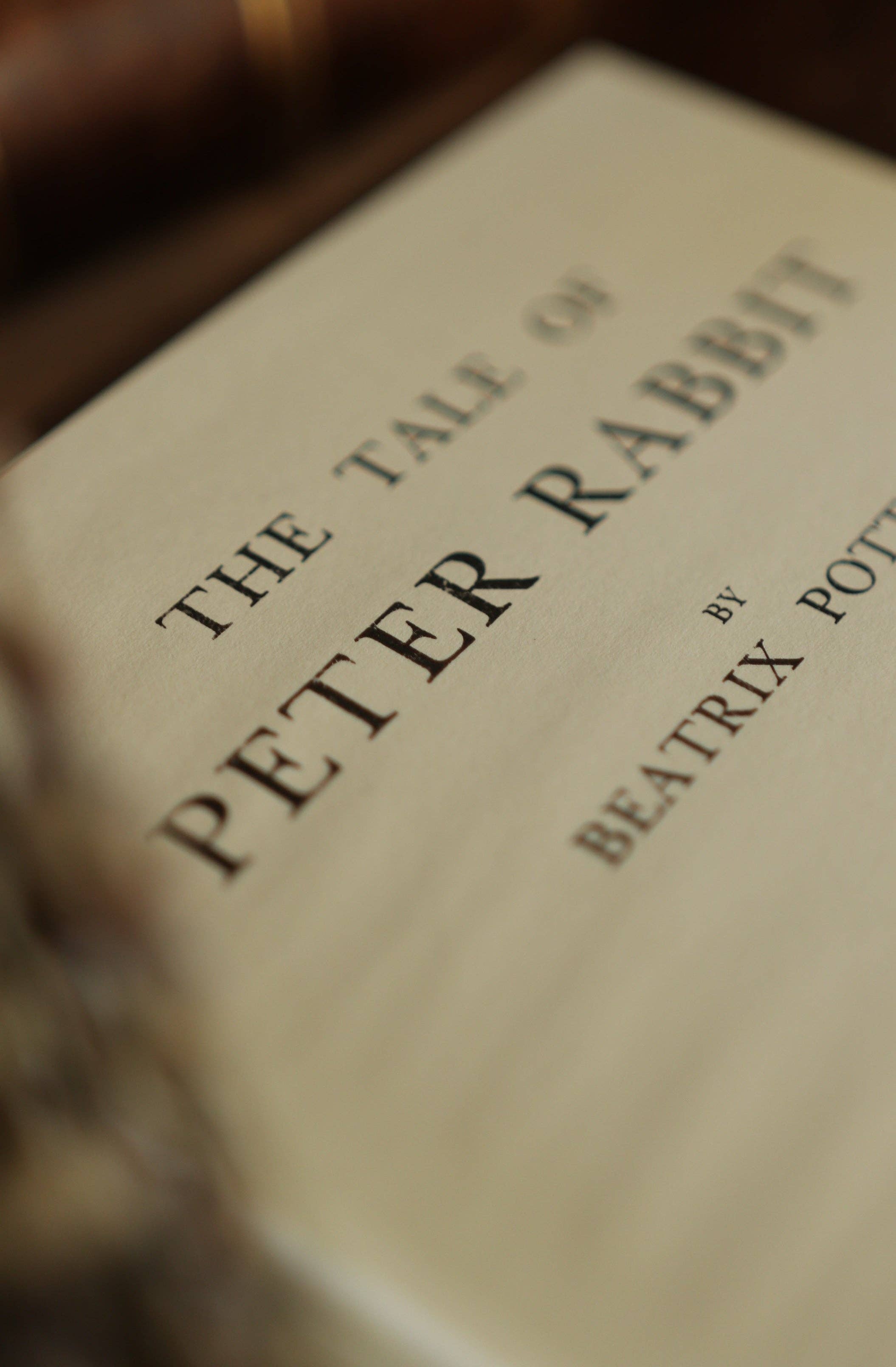 Favorite Story Novel Book Store *The Tale of Peter Rabbit by Beatrix Potter 1902 Book Journal
