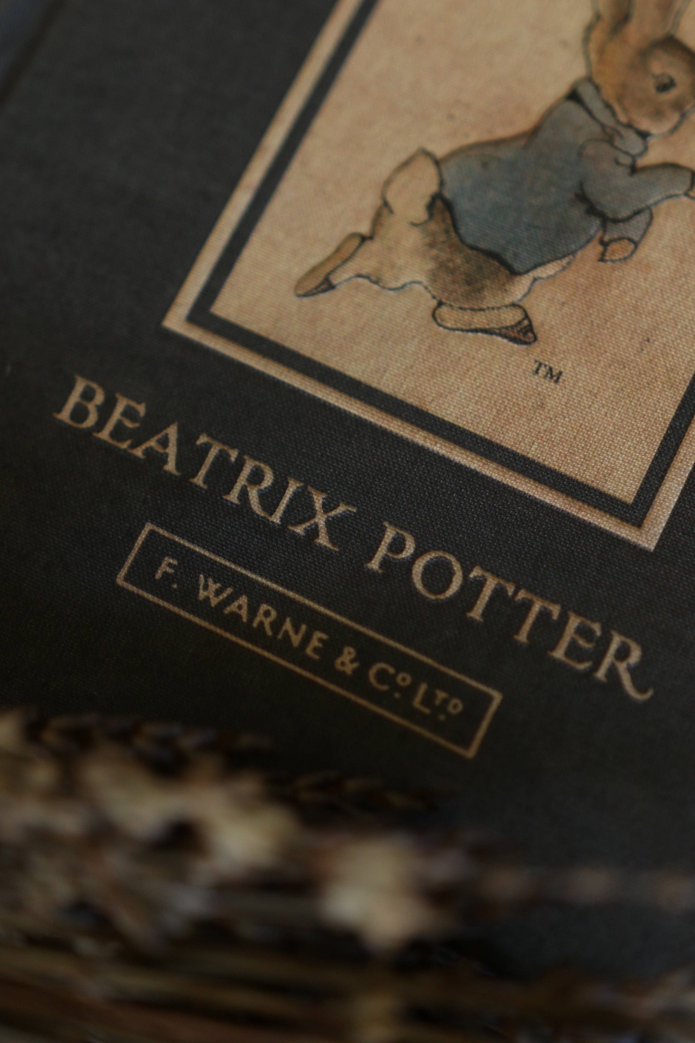 Favorite Story Novel Book Store *The Tale of Peter Rabbit by Beatrix Potter 1902 Book Journal