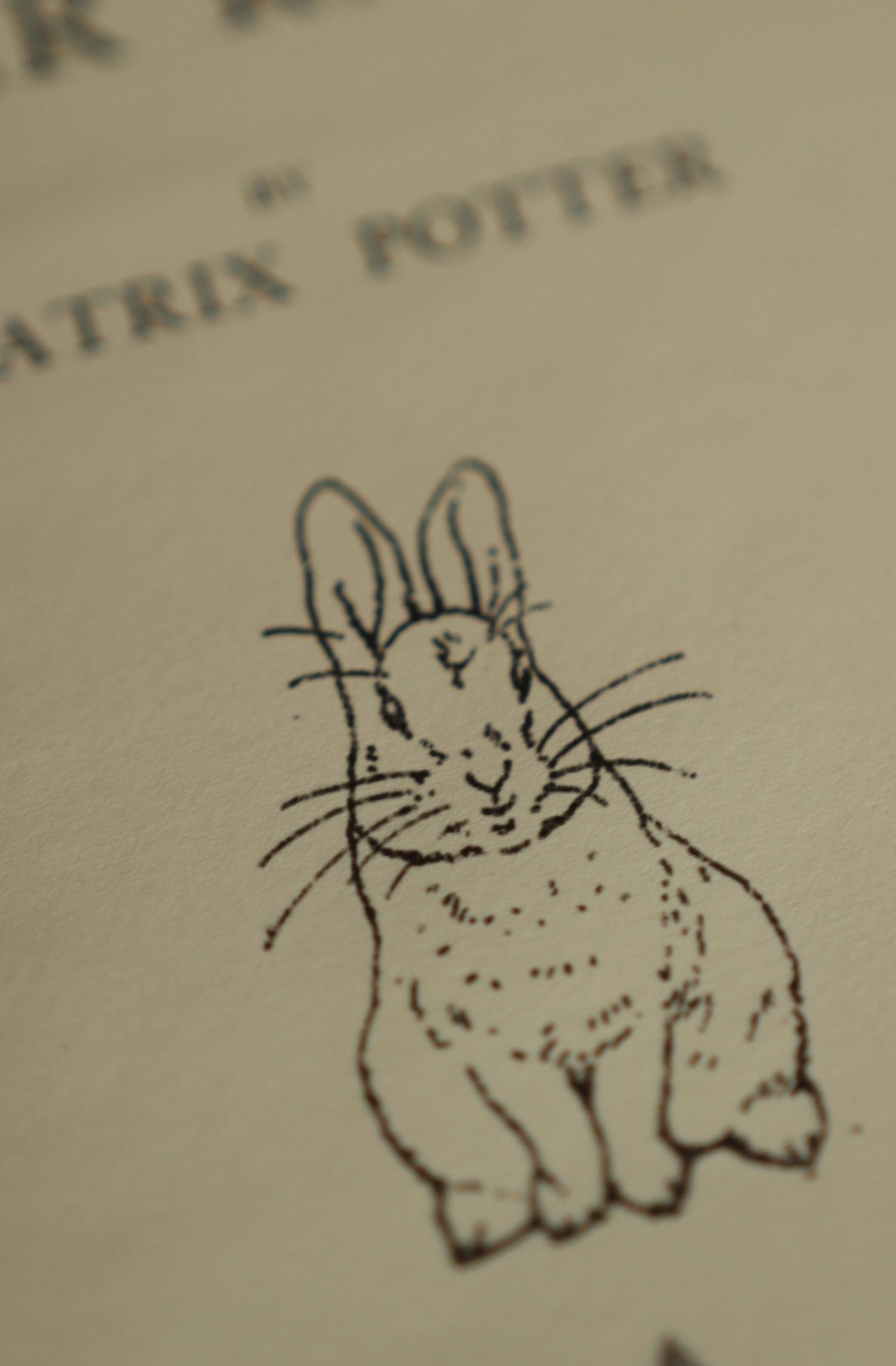 Favorite Story Novel Book Store *The Tale of Peter Rabbit by Beatrix Potter 1902 Book Journal