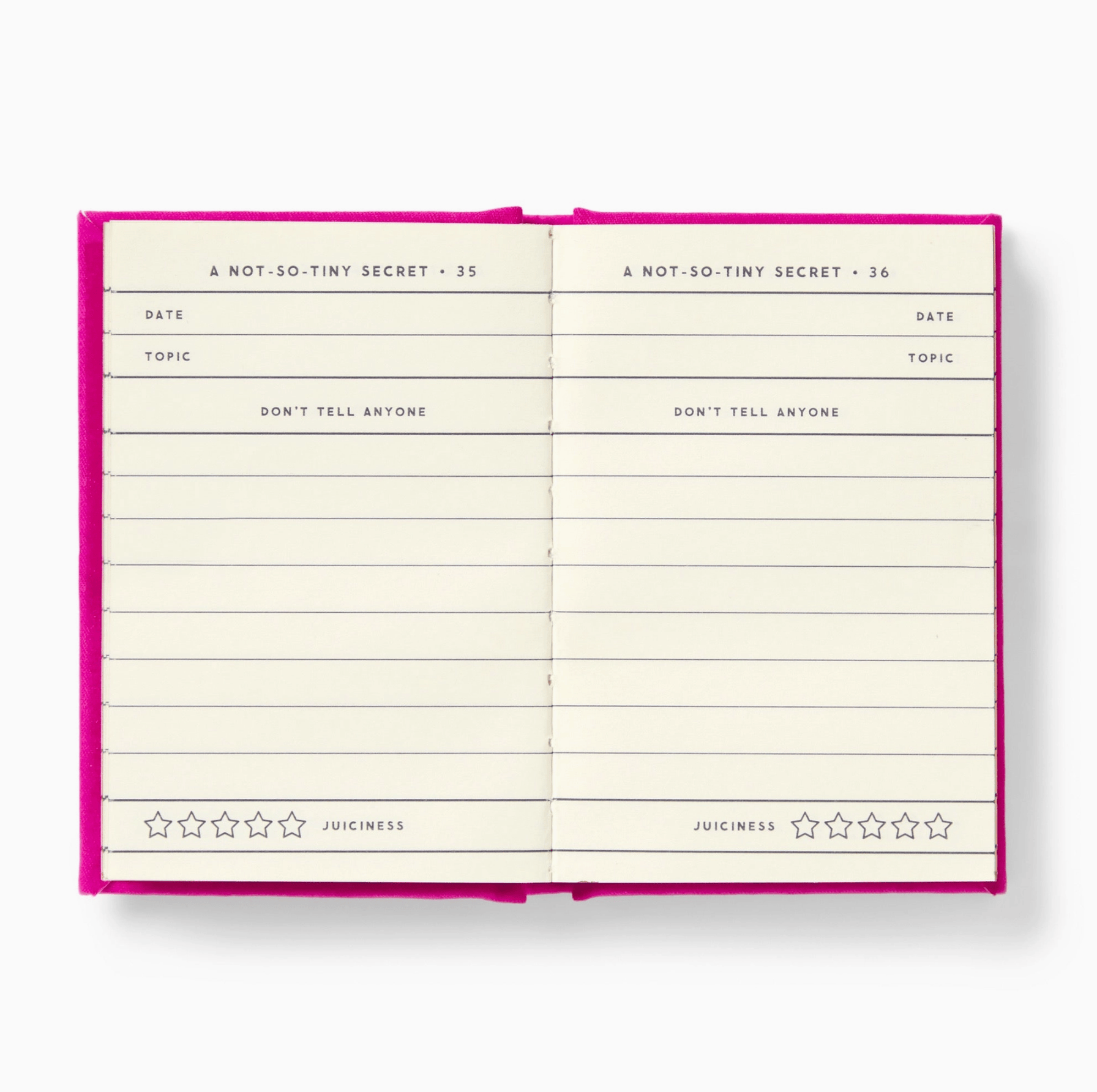 Favorite Story Journal Chronicle Books Tiny Diary For Not So Tiny Secrets