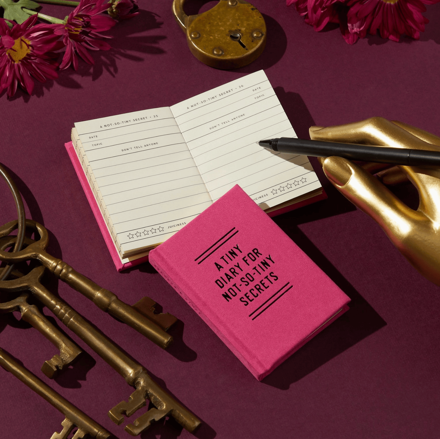 Favorite Story Journal Chronicle Books Tiny Diary For Not So Tiny Secrets