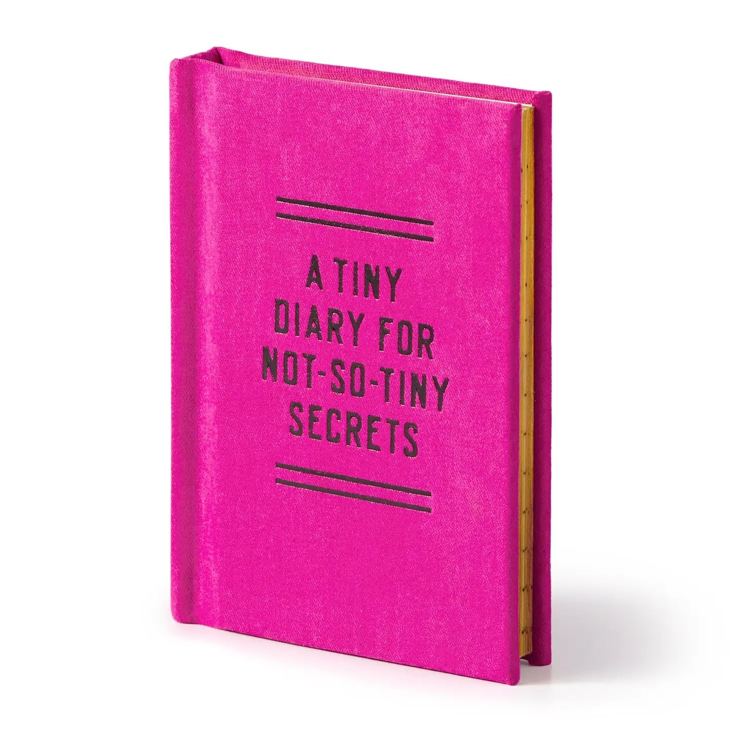 Favorite Story Journal Chronicle Books Tiny Diary For Not So Tiny Secrets