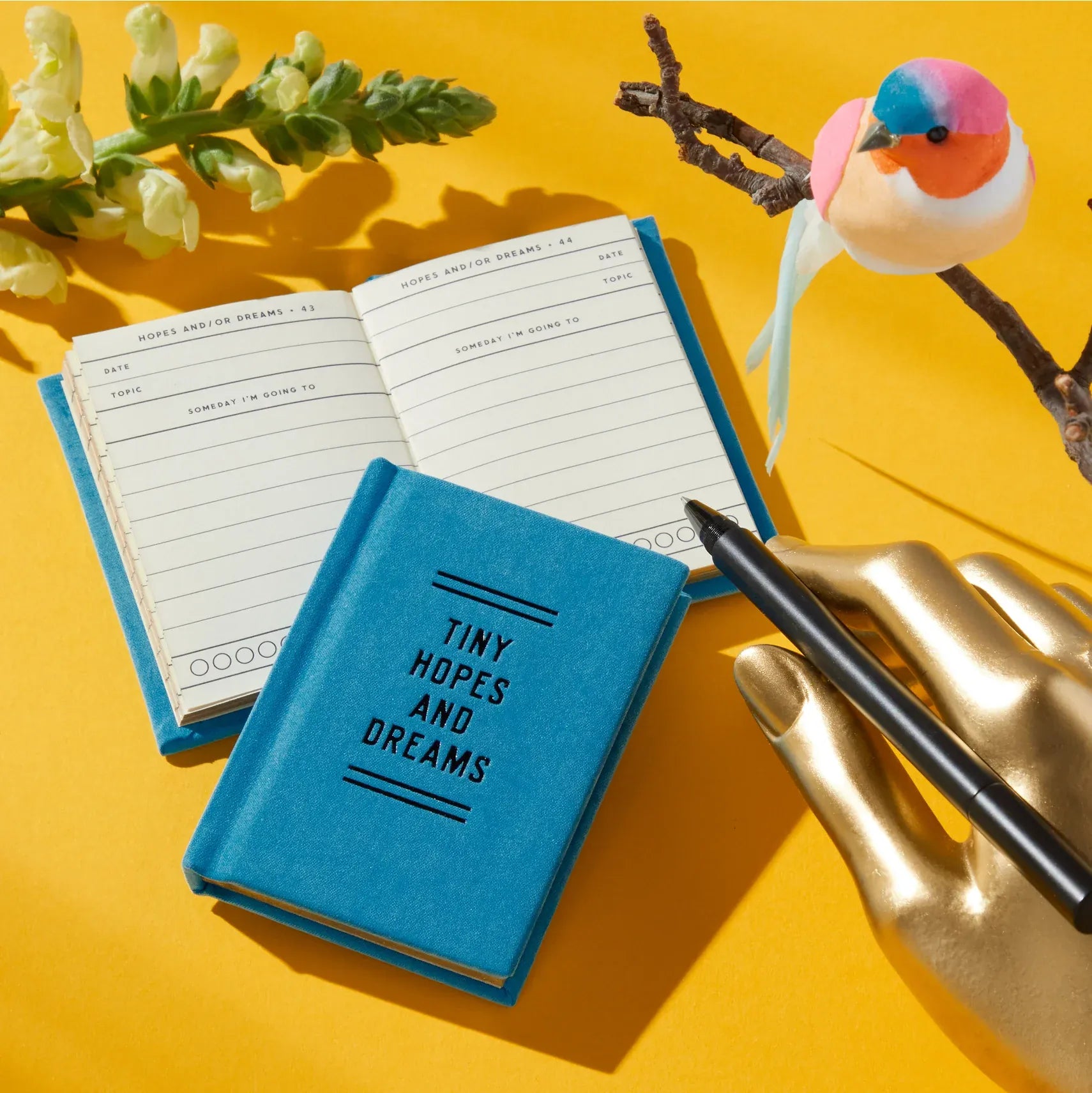 Favorite Story Chronicle Books Tiny Hopes and Dreams Tiny Diary