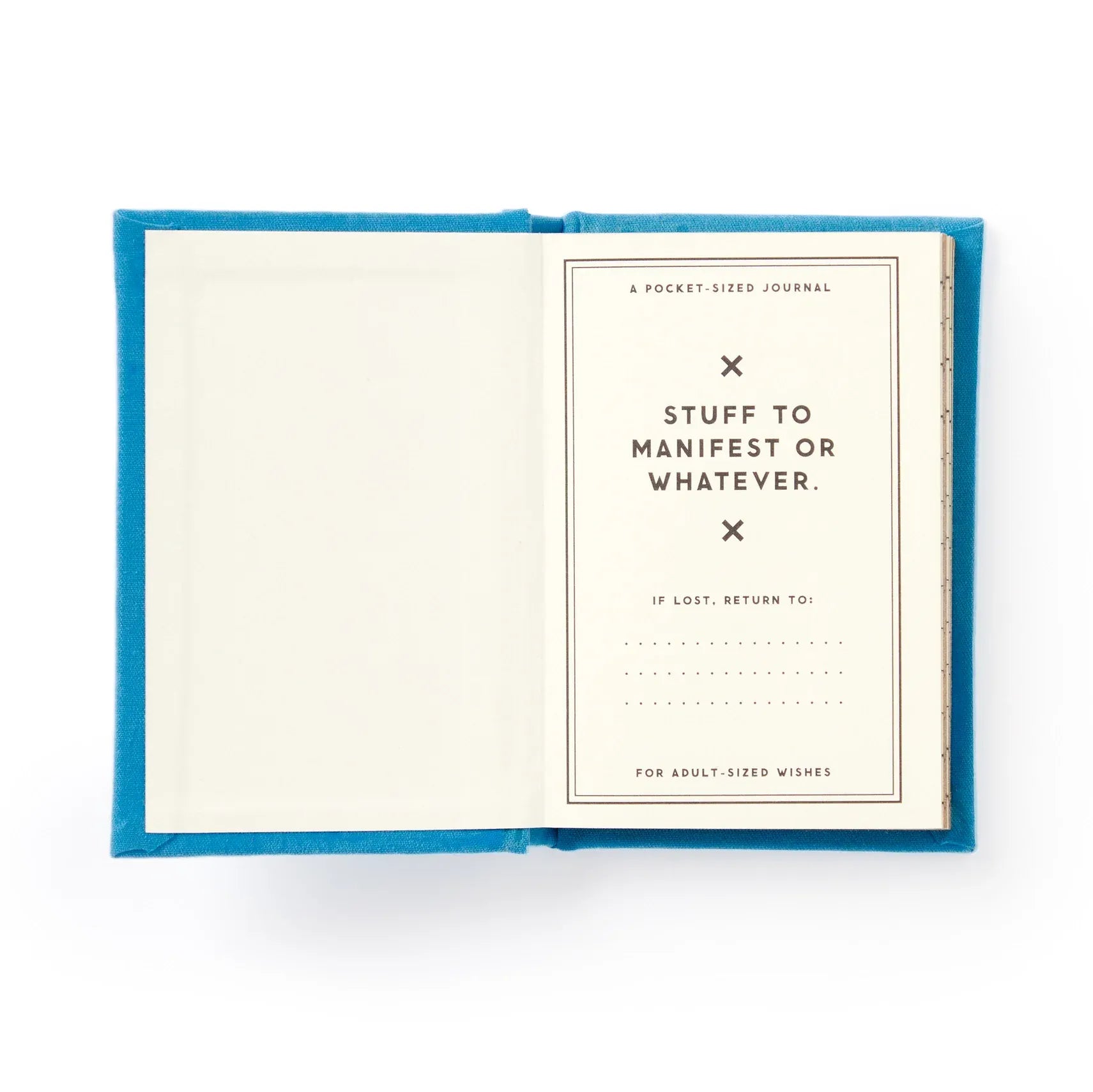 Favorite Story Chronicle Books Tiny Hopes and Dreams Tiny Diary