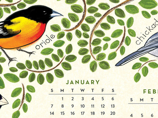 Favorite Story Wall Calendar Feathered Friends Year-at-a-Glance Calendar, Birds, 2024