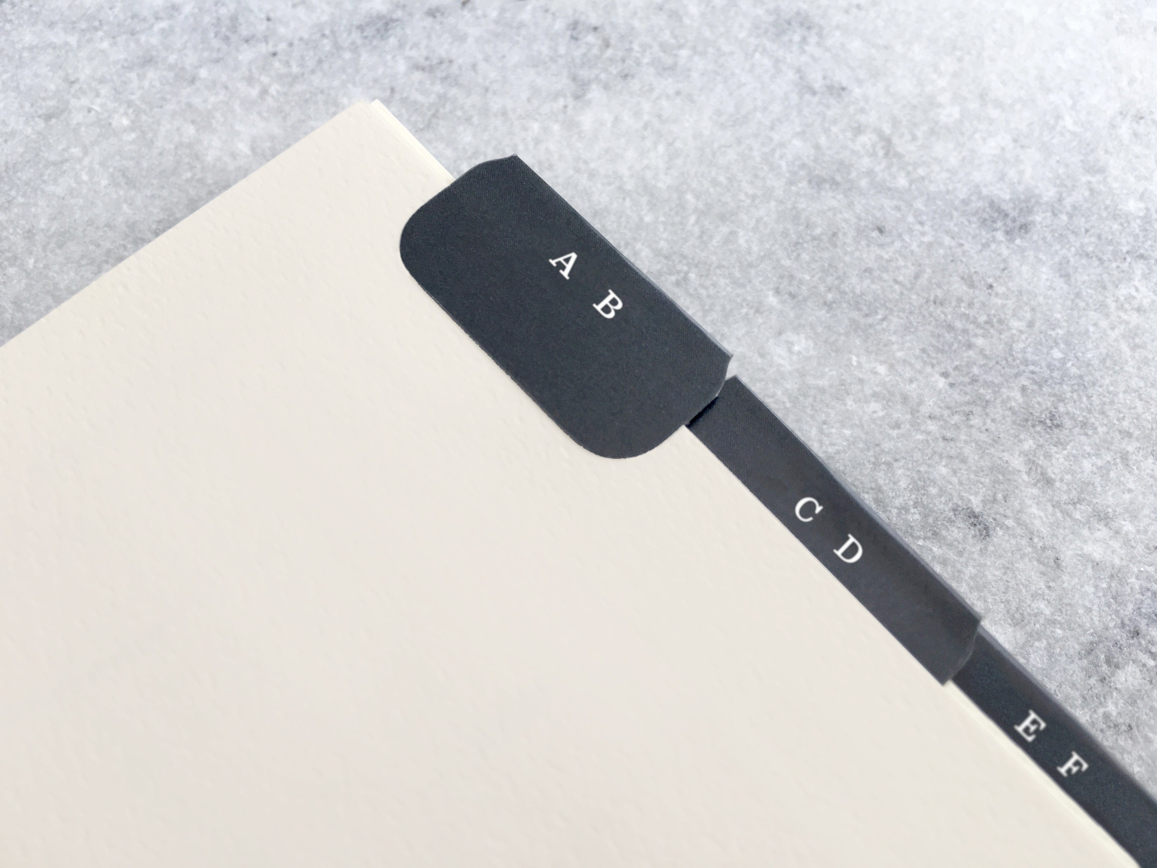 Favorite Story Planner Set of 12 Address/Password Book Tabs