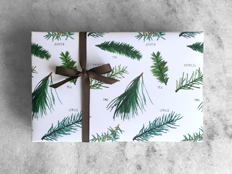 Gift Wrap Favorite Story Evergreen Gift Wrap, Christmas Wrapping Paper