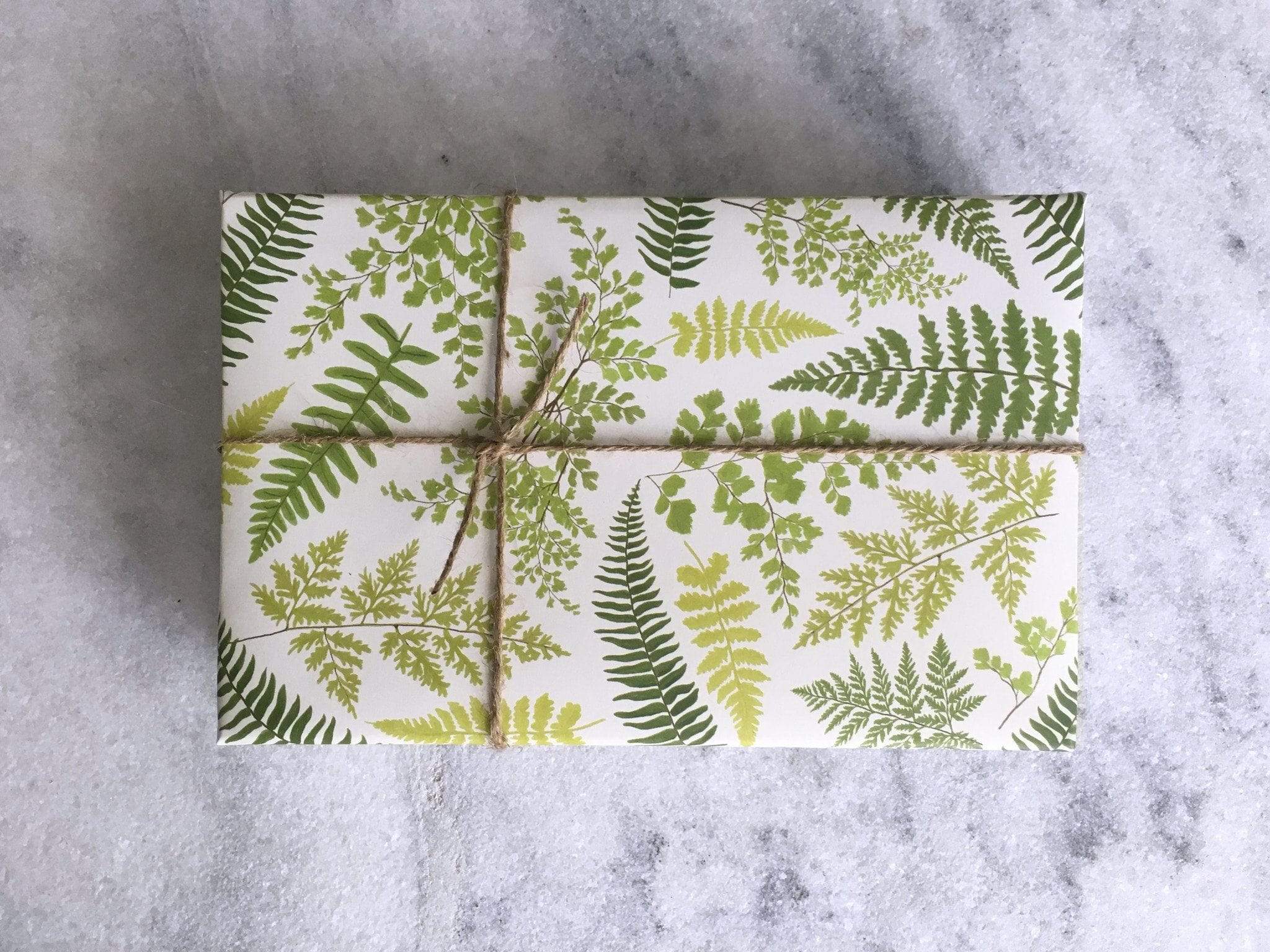 Gift Wrap Favorite Story Fern Gift Wrap, Fine Wrapping Paper