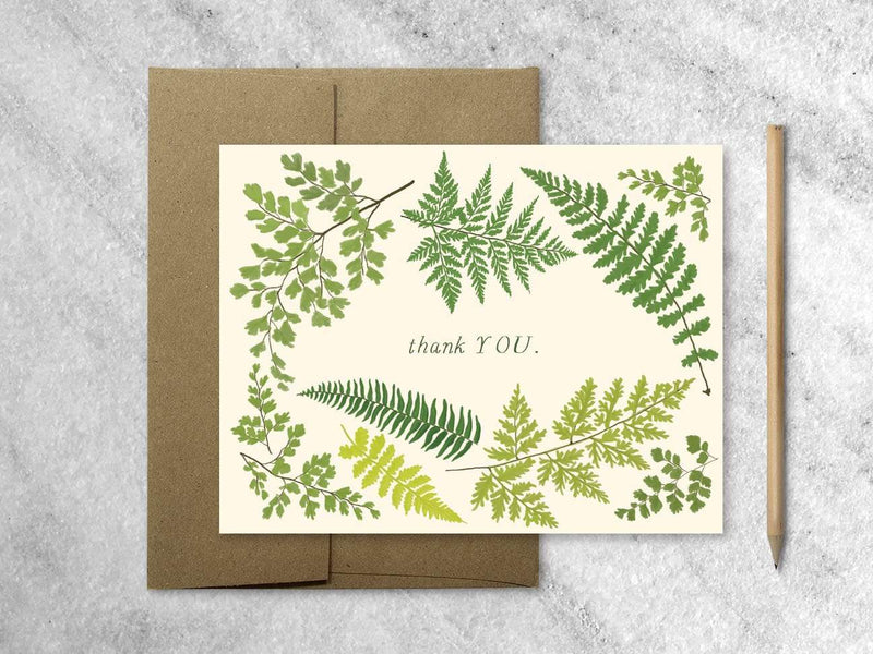 Cards Favorite Story Fern Thank You Card