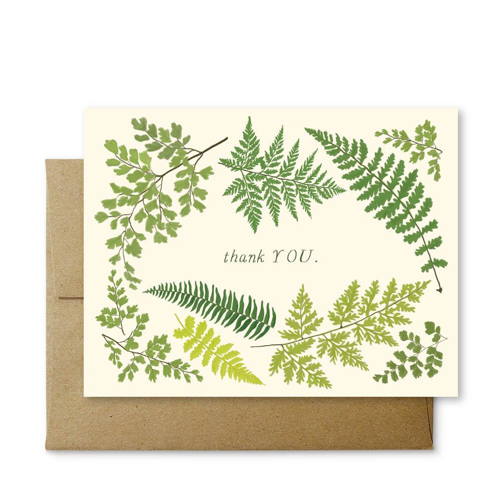 Cards Favorite Story Fern Thank You Card