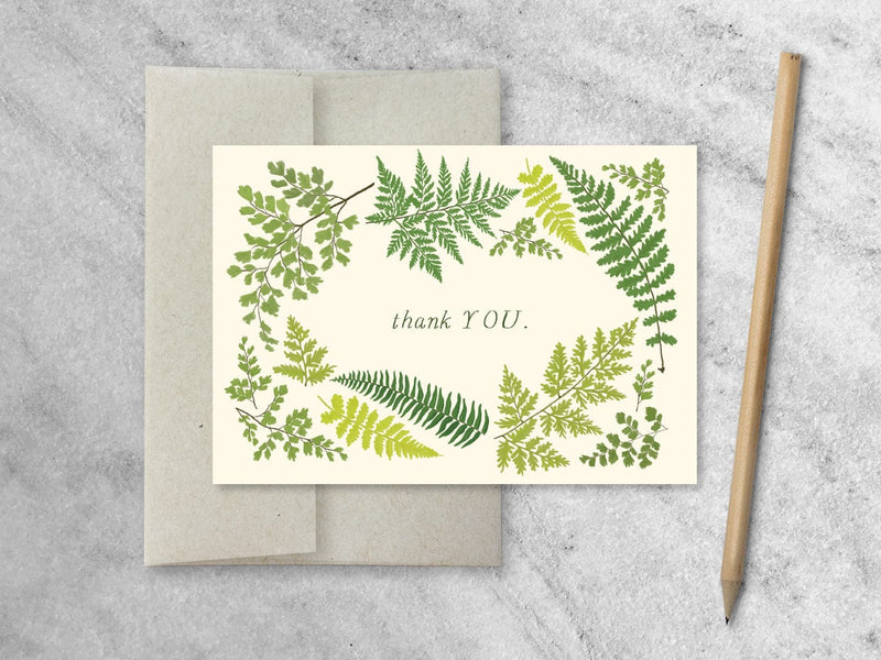 Favorite Story Notecards Boxed Set of 8 Fern Thank You Notecards