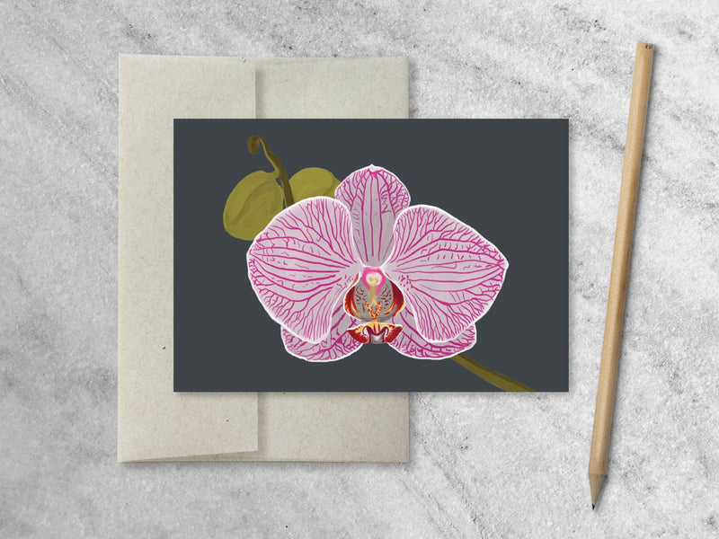 Favorite Story Notecards Boxed Set of 8 Orchid Notecards